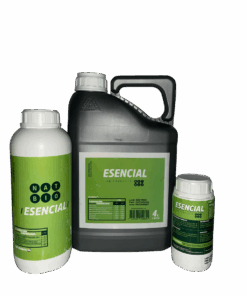 ESENCIAL