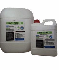 Alternative view of GUT-ACID 40
