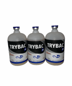 TRYBAC