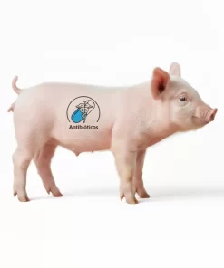 ANTIBIÓTICOS