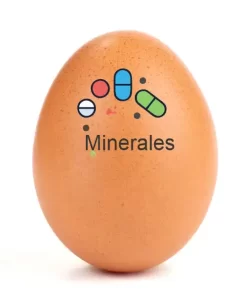 VITAMINAS Y MINERALES