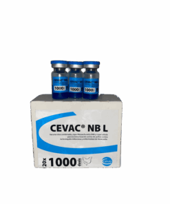 CEVAC NB L