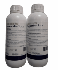 PROMOCALIER
