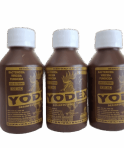 YODEX