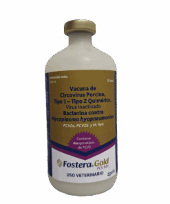 FOSTERA GOLD PCV MH