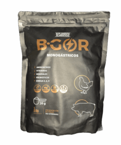 BGOR