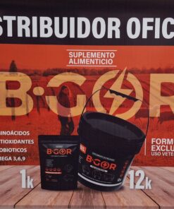 Alternative view of BGOR